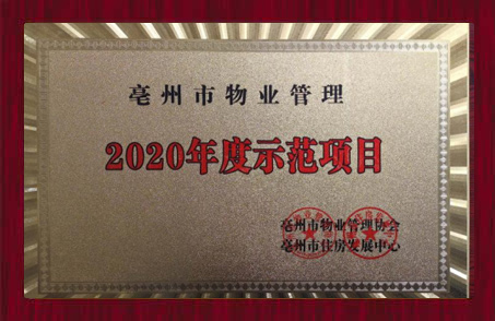 2020年度示范項(xiàng)目