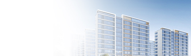 業(yè)務(wù)板塊