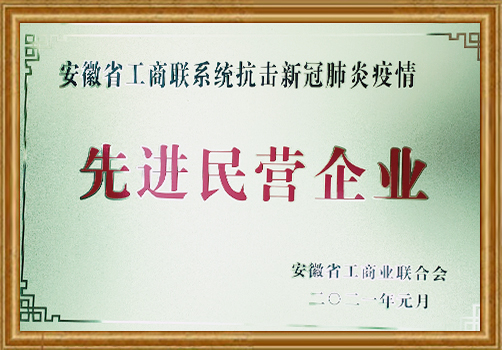 安徽省工商聯(lián)系統(tǒng)抗擊新冠肺炎疫情先進民營企業(yè)